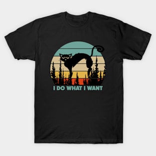 I Do What I Want T-Shirt